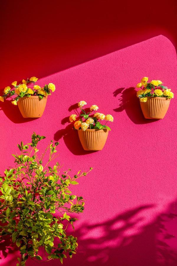Vila Graciosa - Tranquility Oasis ラゴス エクステリア 写真